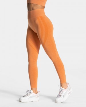 Teveo Evolution V2 Leggings Damen Orange | UBR-9131