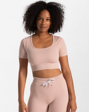 Teveo Gerippt Crop Oberteile Damen Rosa | TSQ-0003